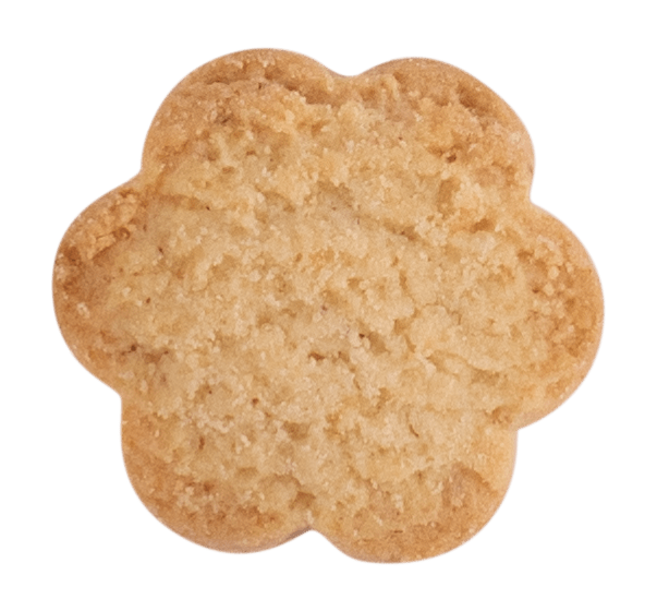 Biscutin - Briccodolce