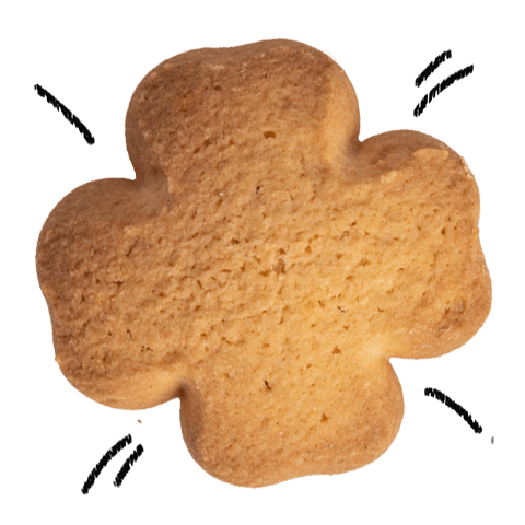 Frollino della nonna - Briccodolce